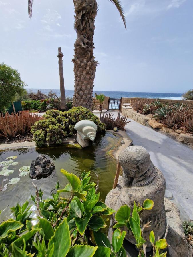Little Paradise In El Medano Granadilla De Abona Eksteriør bilde