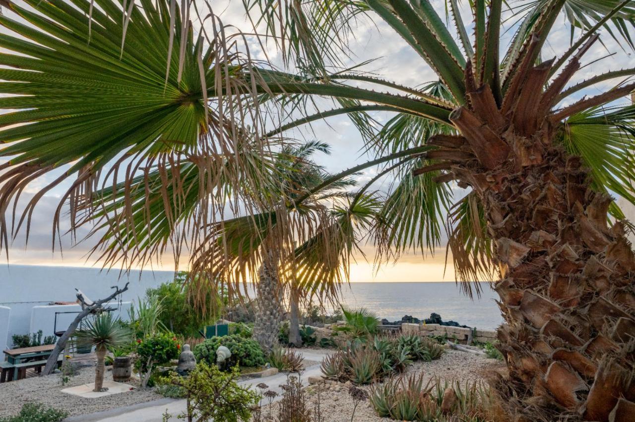 Little Paradise In El Medano Granadilla De Abona Eksteriør bilde